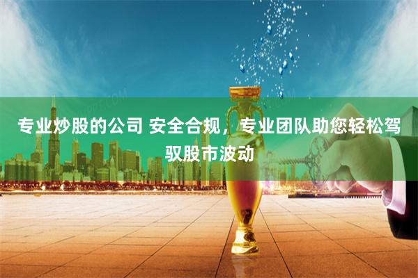 专业炒股的公司 安全合规，专业团队助您轻松驾驭股市波动