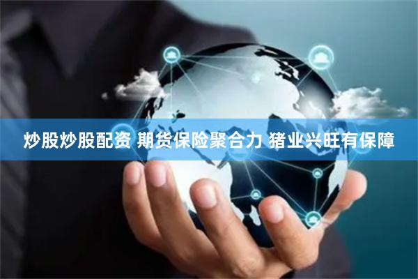 炒股炒股配资 期货保险聚合力 猪业兴旺有保障