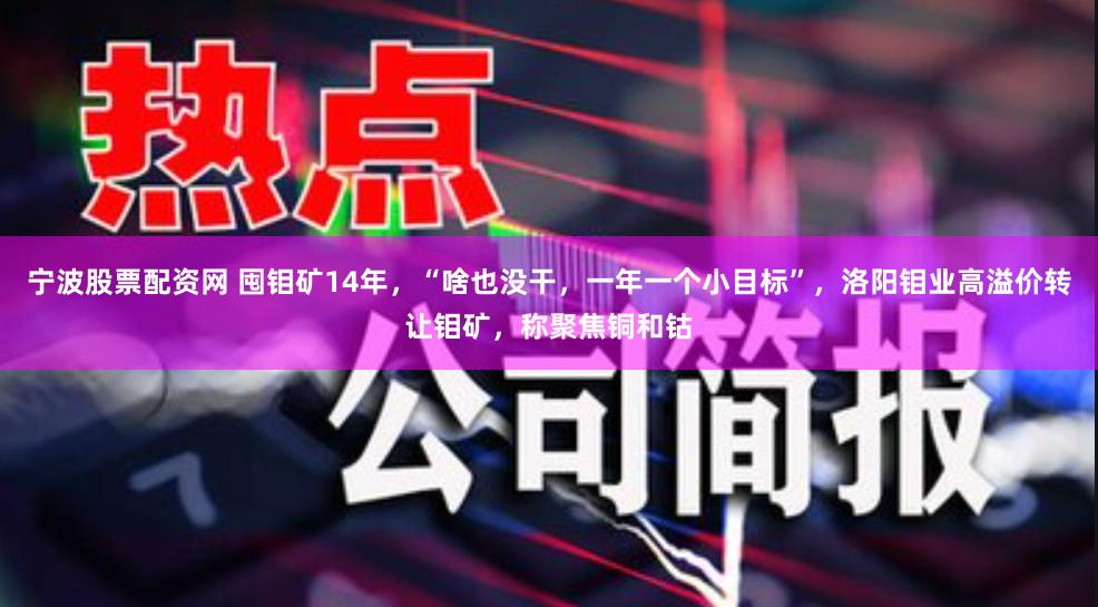 宁波股票配资网 囤钼矿14年，“啥也没干，一年一个小目标”，洛阳钼业高溢价转让钼矿，称聚焦铜和钴