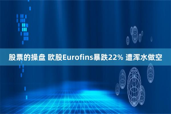 股票的操盘 欧股Eurofins暴跌22% 遭浑水做空