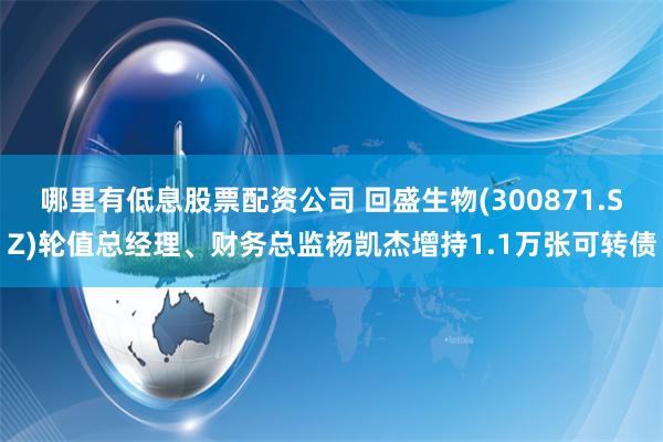 哪里有低息股票配资公司 回盛生物(300871.SZ)轮值总经理、财务总监杨凯杰增持1.1万张可转债