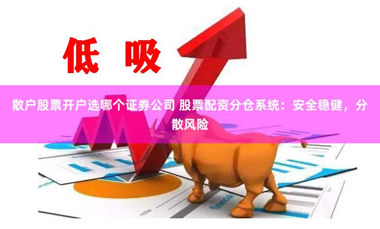 散户股票开户选哪个证券公司 股票配资分仓系统：安全稳健，分散风险